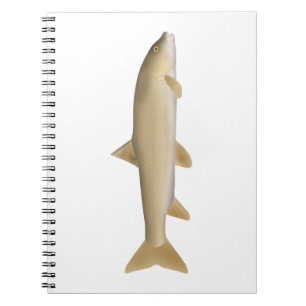 Caderno Espiral Truta da Neve Comum