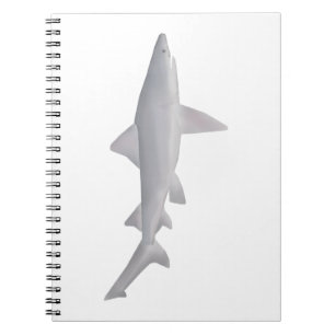 Caderno Espiral Tubarão-Anca