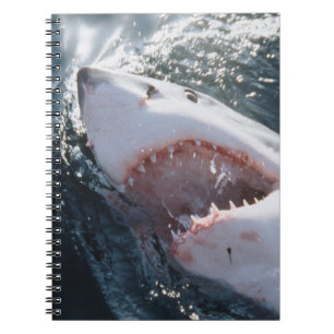 Caderno Espiral Tubarão Branco no mar