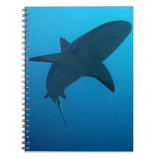 Caderno Espiral Tubarão das caraíbas do recife