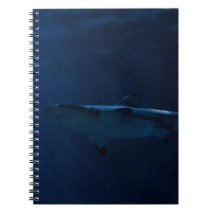 Caderno Espiral TUBARÃO DE cinza NO CORPO DE ÁGUA