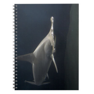 Caderno Espiral Tubarão-martelo