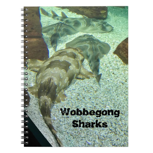 Caderno Espiral Tubarões Wobbegong (Frente)