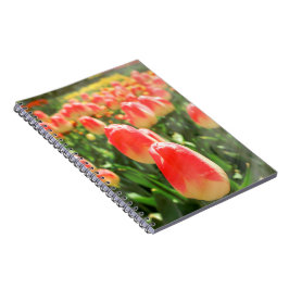 Caderno Espiral Tulip Heaven