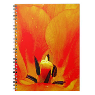 Caderno Espiral Tulip laranja