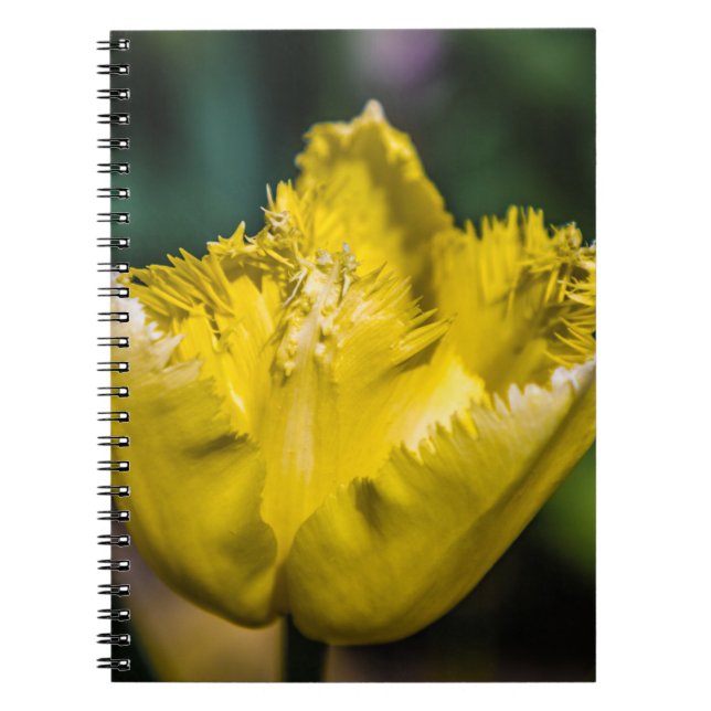 Caderno Espiral Tulipa Amarela (Frente)