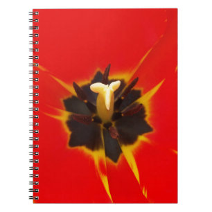 Caderno Espiral tulipa amarela vermelha