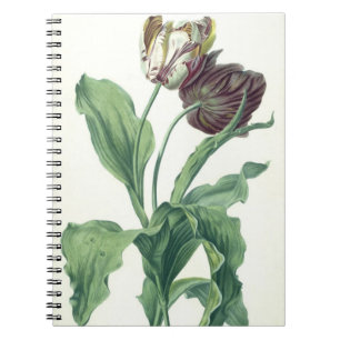 Caderno Espiral Tulipa do jardim, da "ópera Botanica", gravado po
