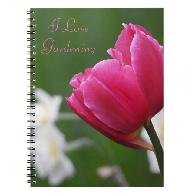 Caderno Espiral Tulipa Rosa (Frente)