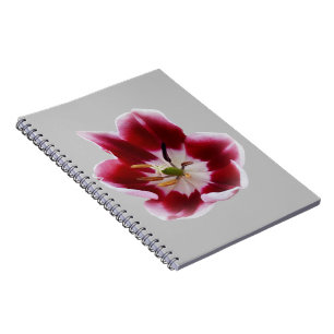 Caderno Espiral Tulipa vermelha profunda