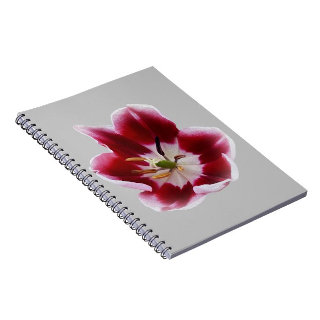 Caderno Espiral Tulipa vermelha profunda (Lado Direito)