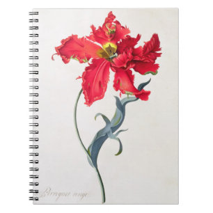 Caderno Espiral Tulipa: Vermelho de Perroquet