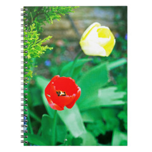 Caderno Espiral Tulipas