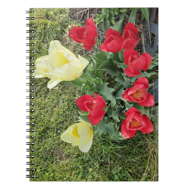 Caderno Espiral Tulipas (Frente)