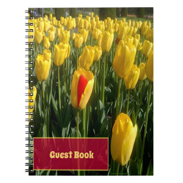 Caderno Espiral Tulipas Amarelas (Frente)