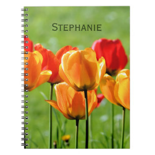 Caderno Espiral Tulipas Amarelas E Vermelhas