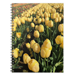 Caderno Espiral Tulipas Amarelas em um Campo, Oregon
