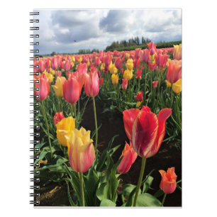 Caderno Espiral Tulipas bonito de Primavera em campo, Oregon