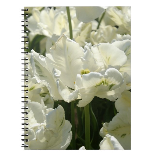 Caderno Espiral Tulipas brancas (Frente)