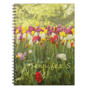 Caderno Espiral Tulipas coloridas num parque personalizadas