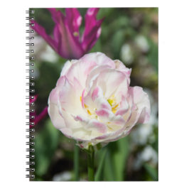 Caderno Espiral Tulipas cor-de-rosa brilhantes num dia ensolarado