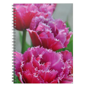 Caderno Espiral Tulipas de papagaio rosa