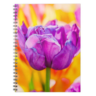 Caderno Espiral Tulipas Encantando 06