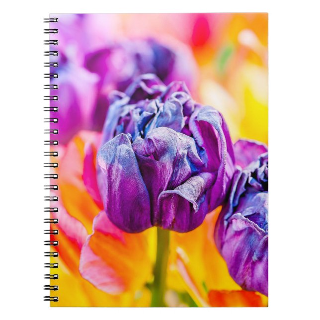 Caderno Espiral Tulipas Encantando 14 (Frente)