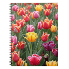 Caderno Espiral Tulipas Holandesas