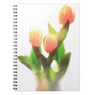 Caderno Espiral Tulipas Laranja