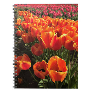 Caderno Espiral Tulipas laranja e vermelha