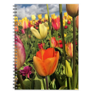 Caderno Espiral Tulipas Primavera coloridas