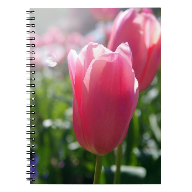 Caderno Espiral Tulipas rosa (Frente)