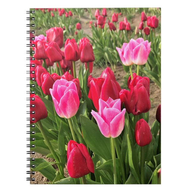 Caderno Espiral Tulipas Rosa e Vermelha (Frente)