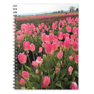 Caderno Espiral Tulipas Rosa e Vermelho em um Campo, Oregon