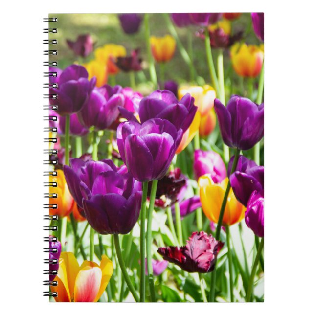 Caderno Espiral Tulipas roxas e amarelas fofas  (Frente)
