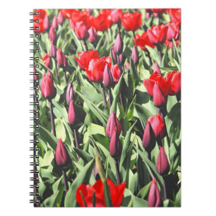 Caderno Espiral Tulipas vermelhas