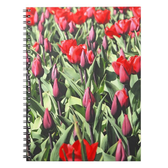 Caderno Espiral Tulipas vermelhas (Frente)