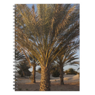 Caderno Espiral Tunísia, Deserto do Saara, Douz, Grande Duna, palm