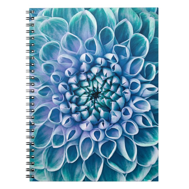 Caderno Espiral Turquesa Dahlia Flor Macro Fundo (Frente)
