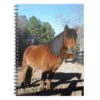 Caderno Espiral Turquesa do pônei castanho