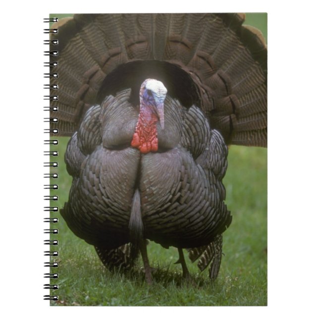 Caderno Espiral Turquia (Frente)