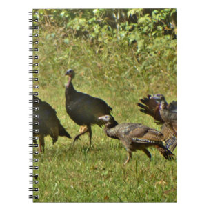 Caderno Espiral Turquia Selvagem, Cores de Camuflagem