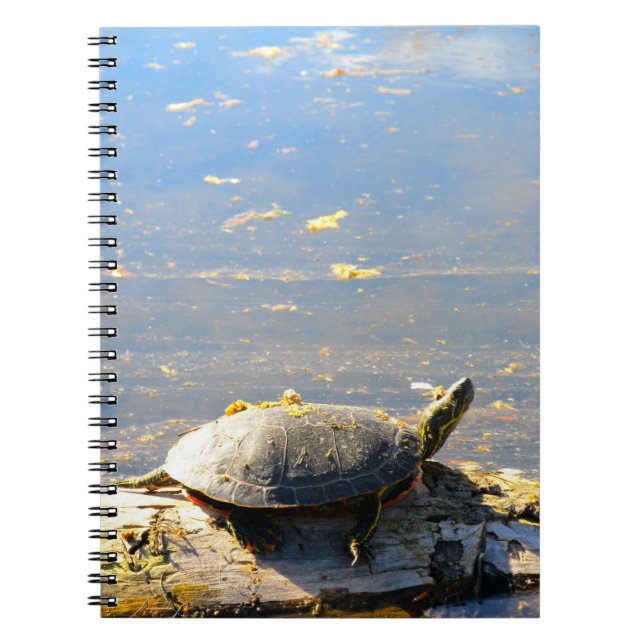 Caderno Espiral Turtle Notebook (Frente)