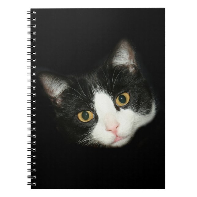 Caderno Espiral Tuxedo cat (Frente)