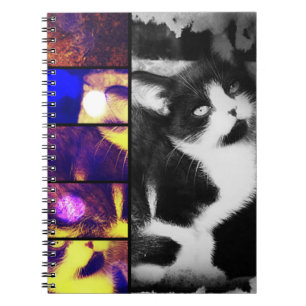 Caderno Espiral Tuxedo Kitten Photo Art Notebook
