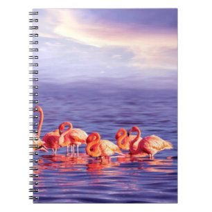 Caderno Espiral Um bando de belos flamingos cor-de-rosa contra uma