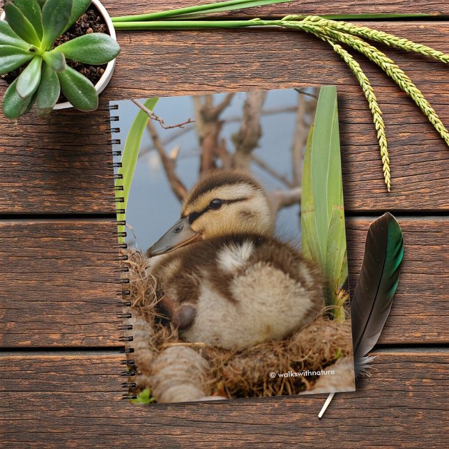 Caderno Espiral Um Batido de Mallard Bonito e Precoce (Mallard Gosling at the Pond Journal Cover Photo)