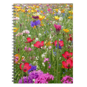 Caderno Espiral Um Campo De Flores Selvagens Coloridas Design