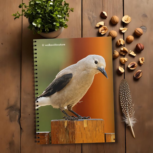 Caderno Espiral Um Curioso Quebra-Nozes de Clark (Curious Clark's Nutcracker Journal Cover Photo)